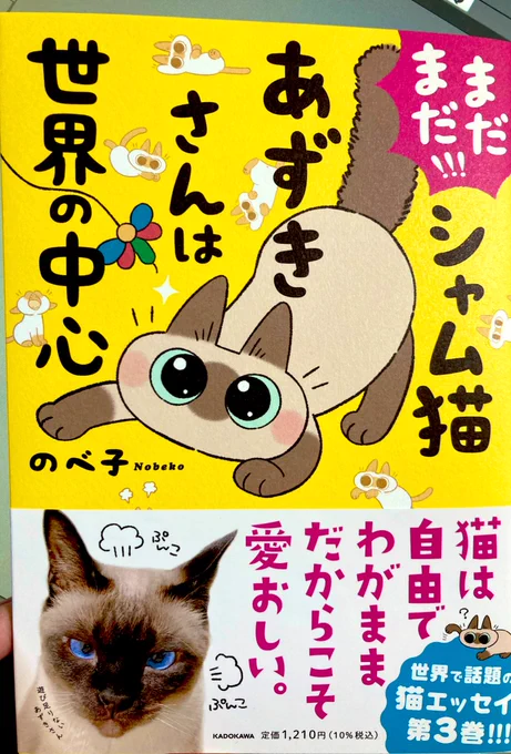 まだまだ!シャム猫あずきさんは世界の中心 の献本いただきました!あずきさんの可愛らしさや飼い主ののべこさんのあずきさんへの愛が超詰まった愛おしい本…見てて振り回される飼い主があるある過ぎて猫って最高だわ〜ってニコニコしちゃった 