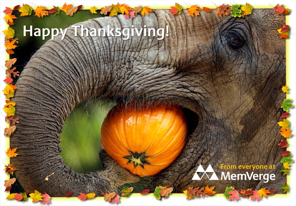 MemVerge's tweet image. 