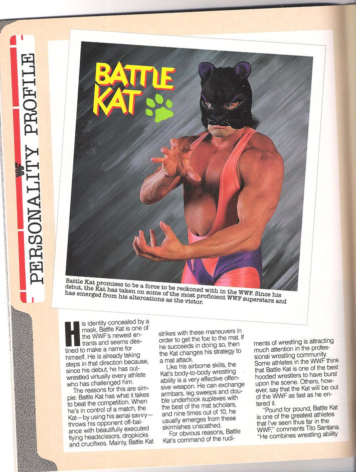 AddictedHe's tweet photo. Who do you like best, Battle Cat from MOTU or Battle Kat from the WWF? Lol!π #BattleCat #MOTU #AddictedToMOTU #GreatestToysEverMade #GreatestFranchiseInTheUniverse #BattleKat #BradyBoone #WWF https://t.co/G79aPRXsFZ