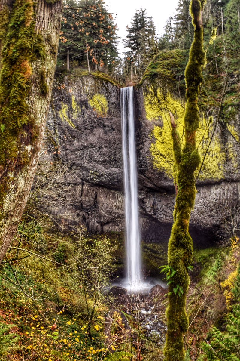 Photographic artwork for sale on Fine Art America. fineartamerica.com/featured/latou… #Latourellfalls #waterfall #falls #NaturePhotography #artwork #Columbiarivergorge