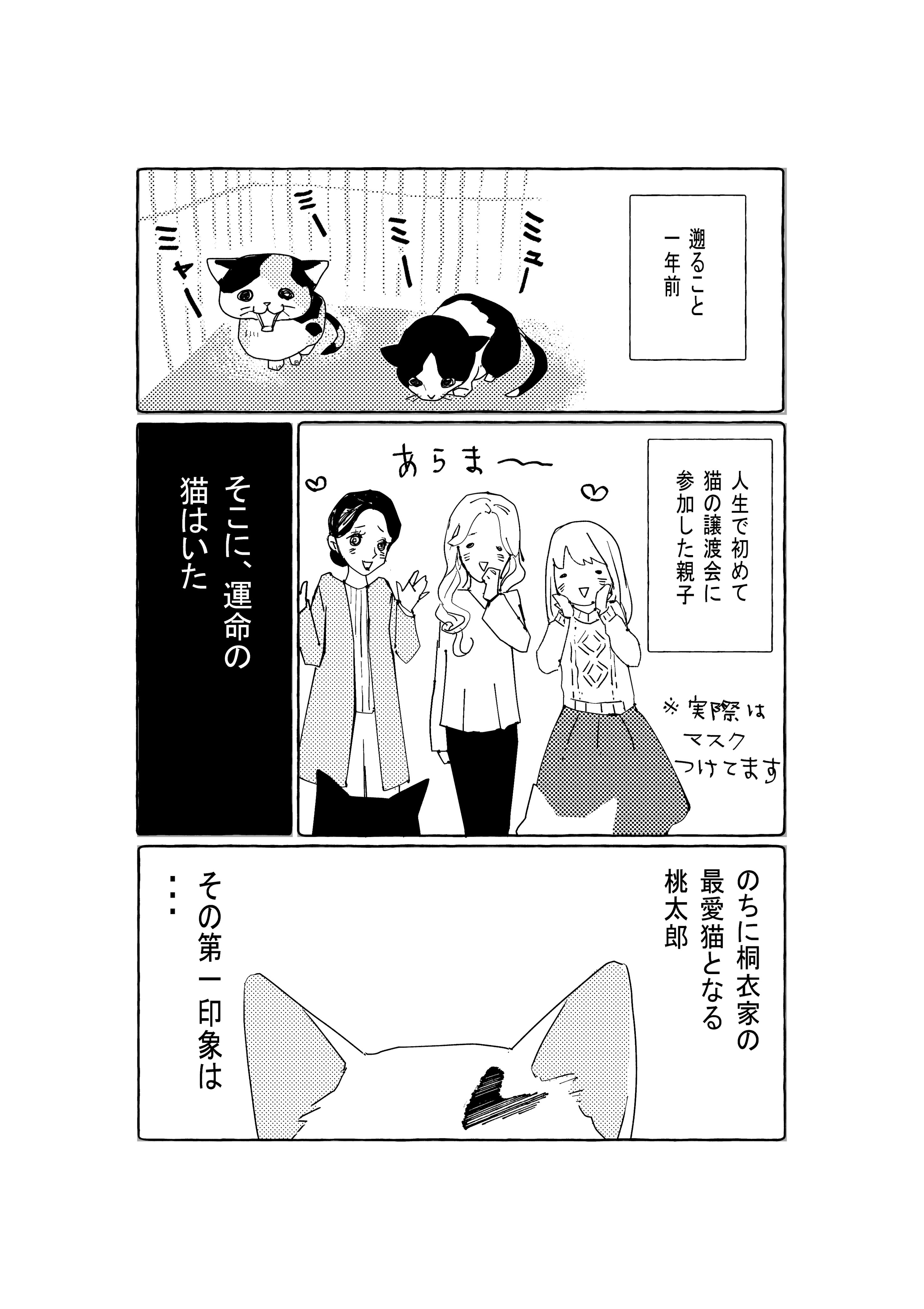 マテオ 姉妹マンガ家と猫のくらし 姉妹マンガ家と保護猫の出会い １ 譲渡会 毎週水曜 日曜更新です 猫 猫がいる生活 エッセイ漫画 T Co Am9wy0gqzx Twitter