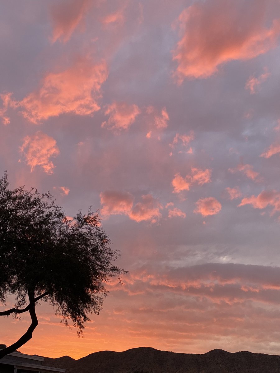 will definitely miss arizona's cotton candy skies 🍭