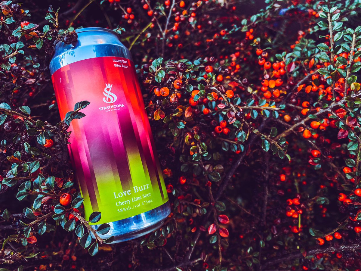 WestCoastLiquor (@wc_liquor) on Twitter photo New <a href="/strathconabeer/">strathconabeer</a> love buzz cherry lime sour. Available in single cans at our Fraser location. New <a href="/strathconabeer/">strathconabeer</a> love buzz cherry lime sour. Available in single cans at our Fraser location.