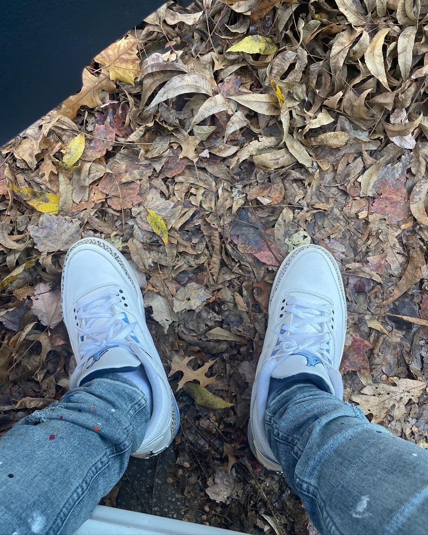 LOC STAR on Twitter: 