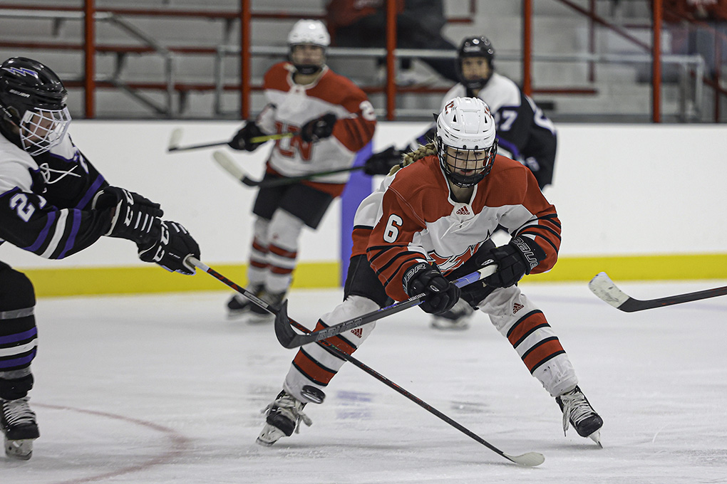 vid3design's tweet photo. Watching @LNgirlshockey is a lot of fun. It’s a young team that plays hard and doesn’t give up. Fell to 1-2 with a 3-1 loss to Eastview on Tuesday, but the Panthers have been in each game until the end. https://t.co/3zsX0CB5Mx
