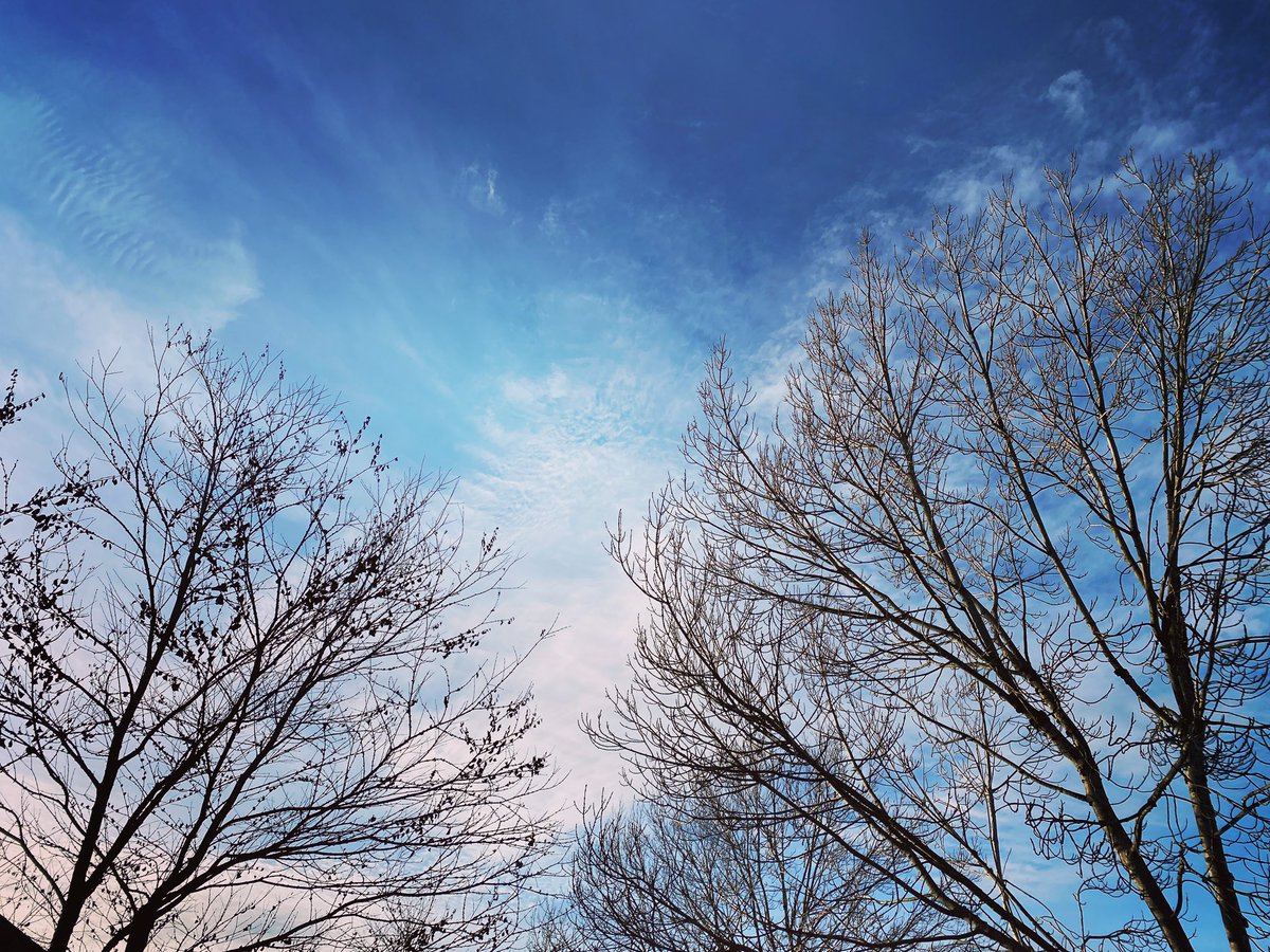 Jackieg16694752's tweet photo. November Sky!
#Canadiantraveller https://t.co/pJROFiM56L