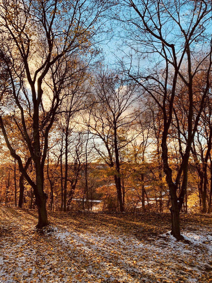 Beautiful sunset in Mom’s backyard. Rochester New York. Home for the holidays.