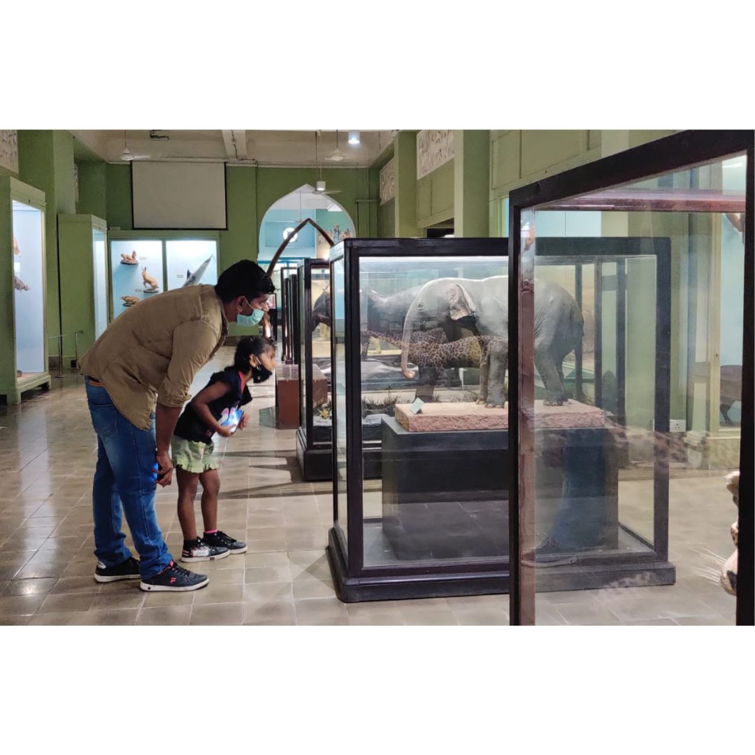 CSMVSmumbai's tweet photo. This helped build awareness that all the animals and birds displayed are real." - Manoj Chaudhari (Assistant Curator, Natural History
#CSMVS100 #100yearsofstories #100yearsofhistory #CSMVSMumbai (3/3) https://t.co/kQTAiIc7Ld