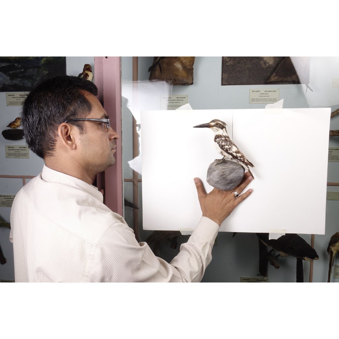 CSMVSmumbai's tweet photo. This helped build awareness that all the animals and birds displayed are real." - Manoj Chaudhari (Assistant Curator, Natural History
#CSMVS100 #100yearsofstories #100yearsofhistory #CSMVSMumbai (3/3) https://t.co/kQTAiIc7Ld