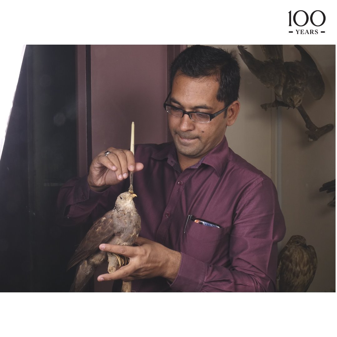 CSMVSmumbai's tweet photo. This helped build awareness that all the animals and birds displayed are real." - Manoj Chaudhari (Assistant Curator, Natural History
#CSMVS100 #100yearsofstories #100yearsofhistory #CSMVSMumbai (3/3) https://t.co/kQTAiIc7Ld