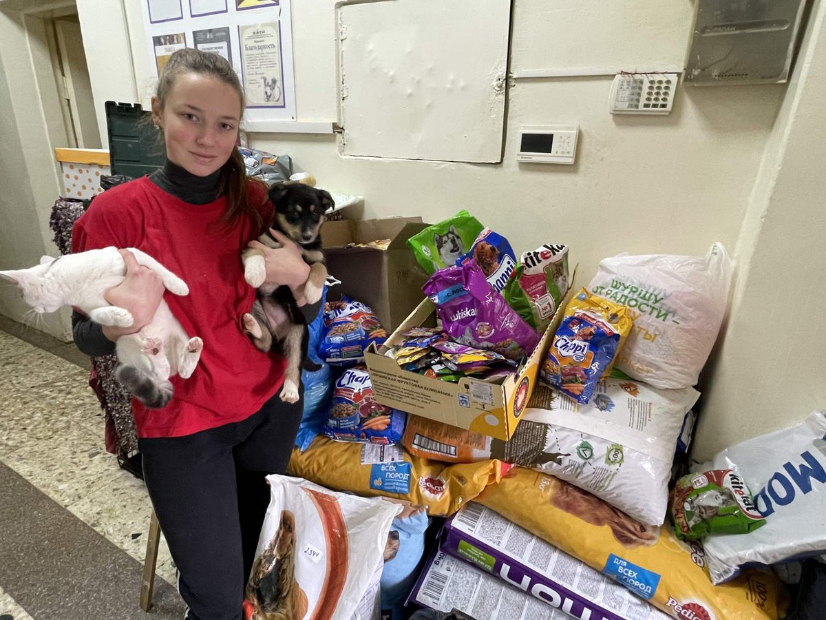 Приобщать подрастающее поколение к общечеловеческим ценностям: доброте, красоте, здоровью, счастью – призван национальный проект «Образование» и федеральный проект «Социальная активность». В рамках этих проектов в МБОУ Школе №21 г.о Самара действует волонтёрский отряд «Кристалл»