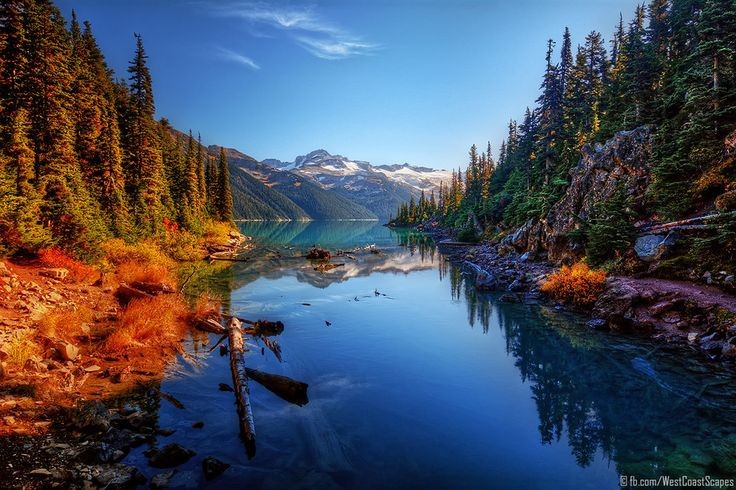 ☕🎶 Good morning 🎶☕
☀🍀 Wishing you a
            happy Wednesday 🍀☀