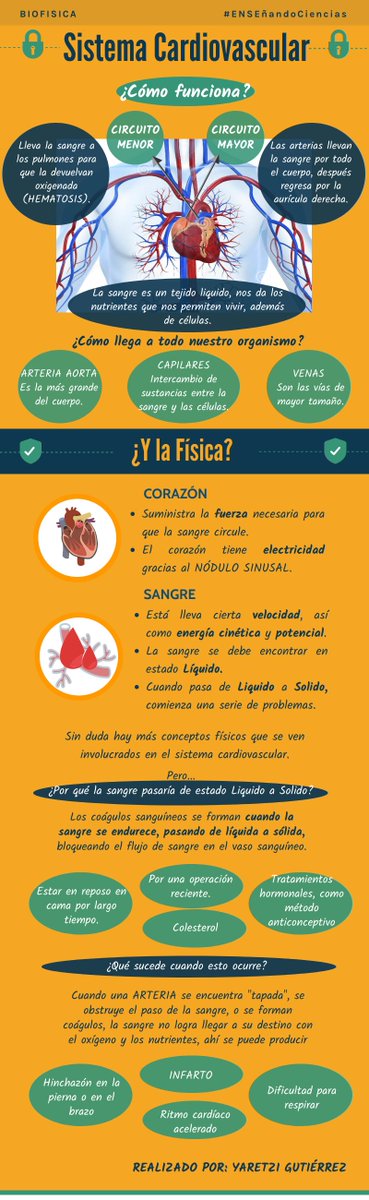 profeyaretzigtz's tweet photo. ¿Qué sucede cuando alteramos el estado de la sangre? ¡Te invito a descubrirlo! Además aprende como funciona nuestro sistema cardiovascular.
La Física está más presente en nuestras vidas de lo que te imaginas.. 🧐
#ENSEñandoCiencias @CienciasENSE https://t.co/tbJAME6RsT