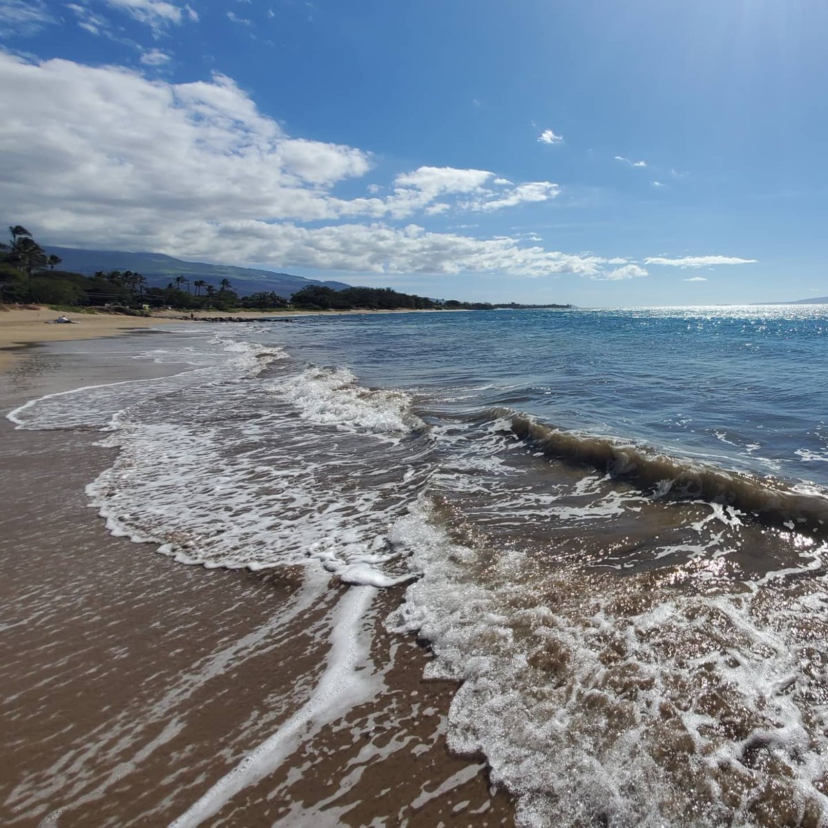 RachRedux's tweet photo. My lil escape to Maui has been infuckincredible. Ya know, for the 1st of 2 days 🤣 #kihei #kahului #makena #maui #goseedo https://t.co/nHJw6DdjT0