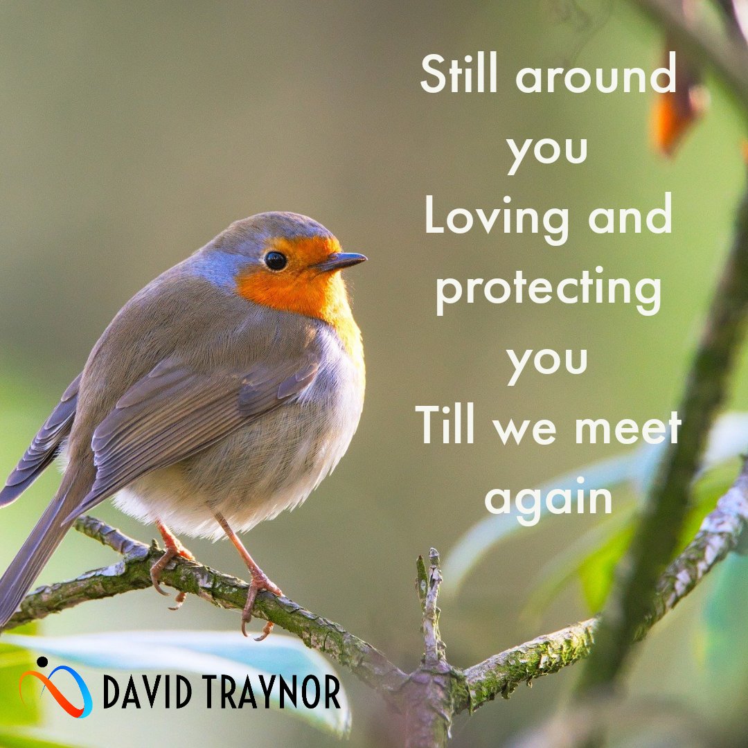 David_Traynor's tweet photo. Good morning everyone !
Do any of you sense your loved ones around you ? โค
#lovedones #watchoverus #protecting #guiding #erernallove #angelsinheaven #Robins https://t.co/UlTVY3I9n0