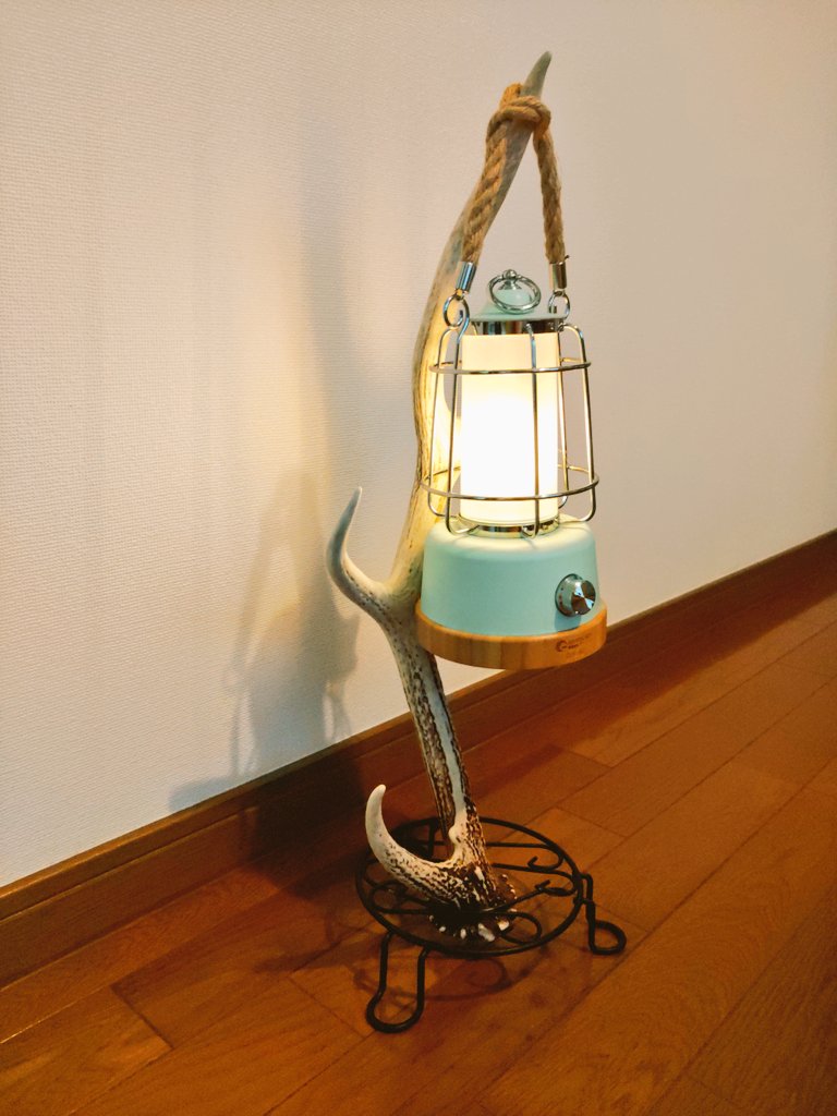 にゃこ🐾 (@nandesutte01) / Posts / X