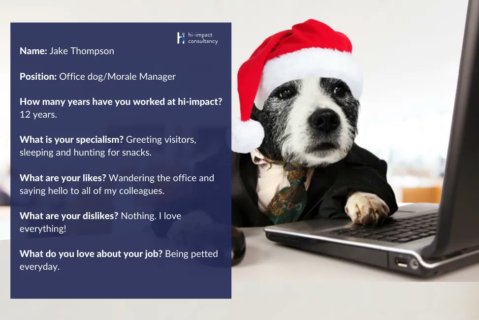 hi-impact tweet media