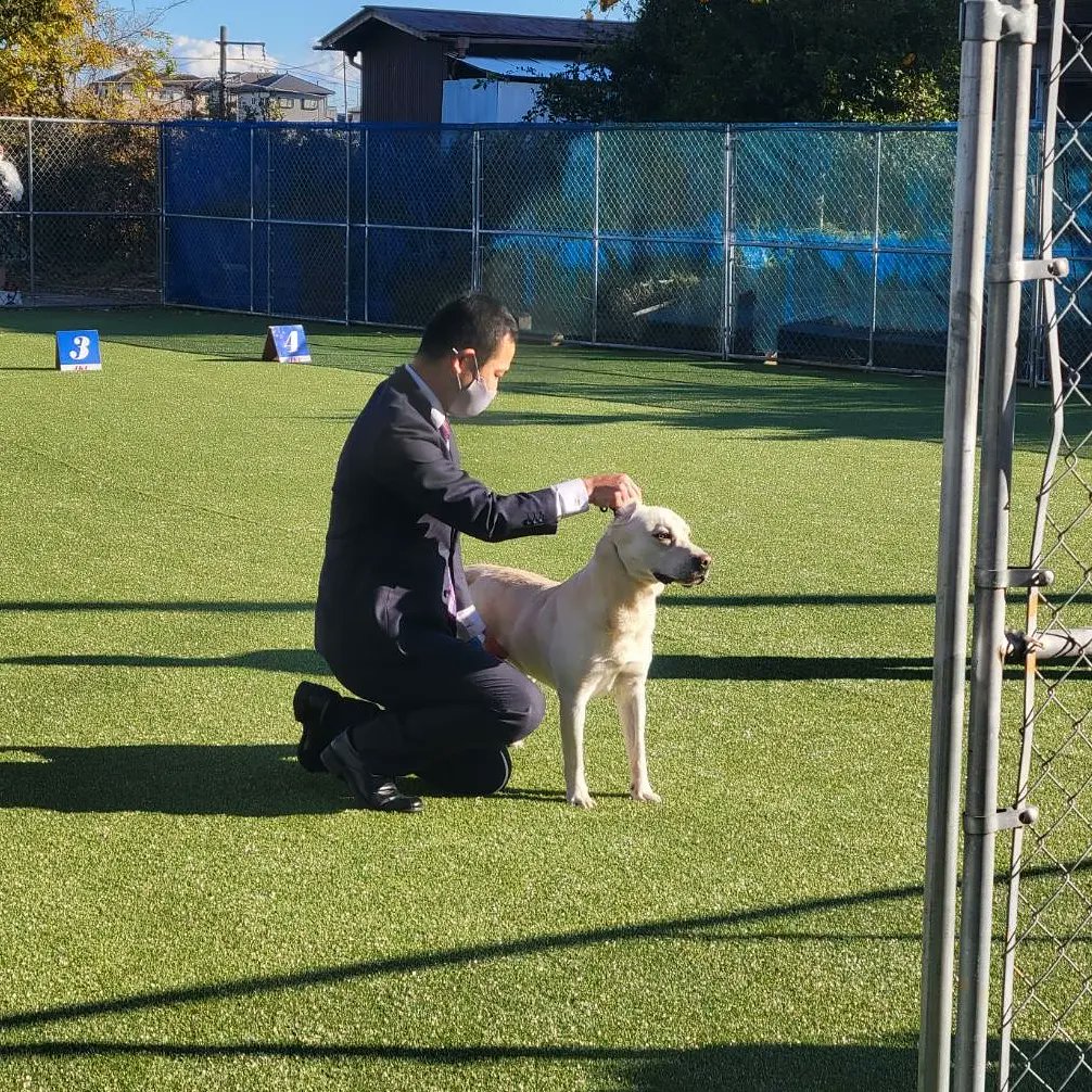 アジア動物専門学校 a Asia Animal Twitter