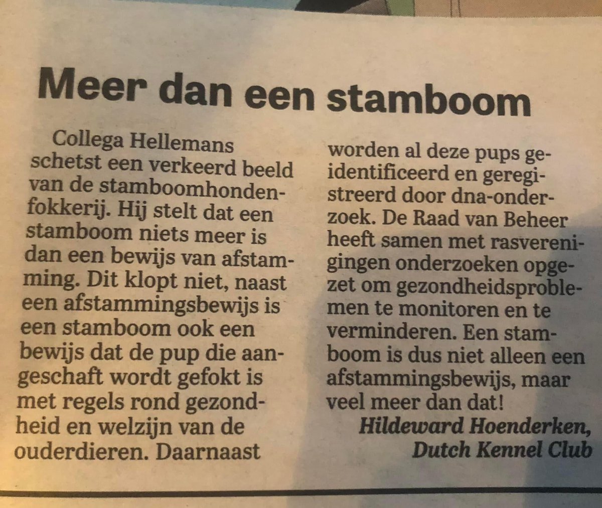 Fokken met een stamboom: veel meer dan een afstammingsbewijs
Item in Telegraaf over aanschaf van honden. Aantal zaken waar, mist actualiteit en nuance. Daarop gewezen.  
Zie: houdenvanhonden.nl/.../raad-van-b…
Voordelen stamboomhond:  houdenvanhonden.nl/stamboomhond #rashond #stamboomhond #fairfok
