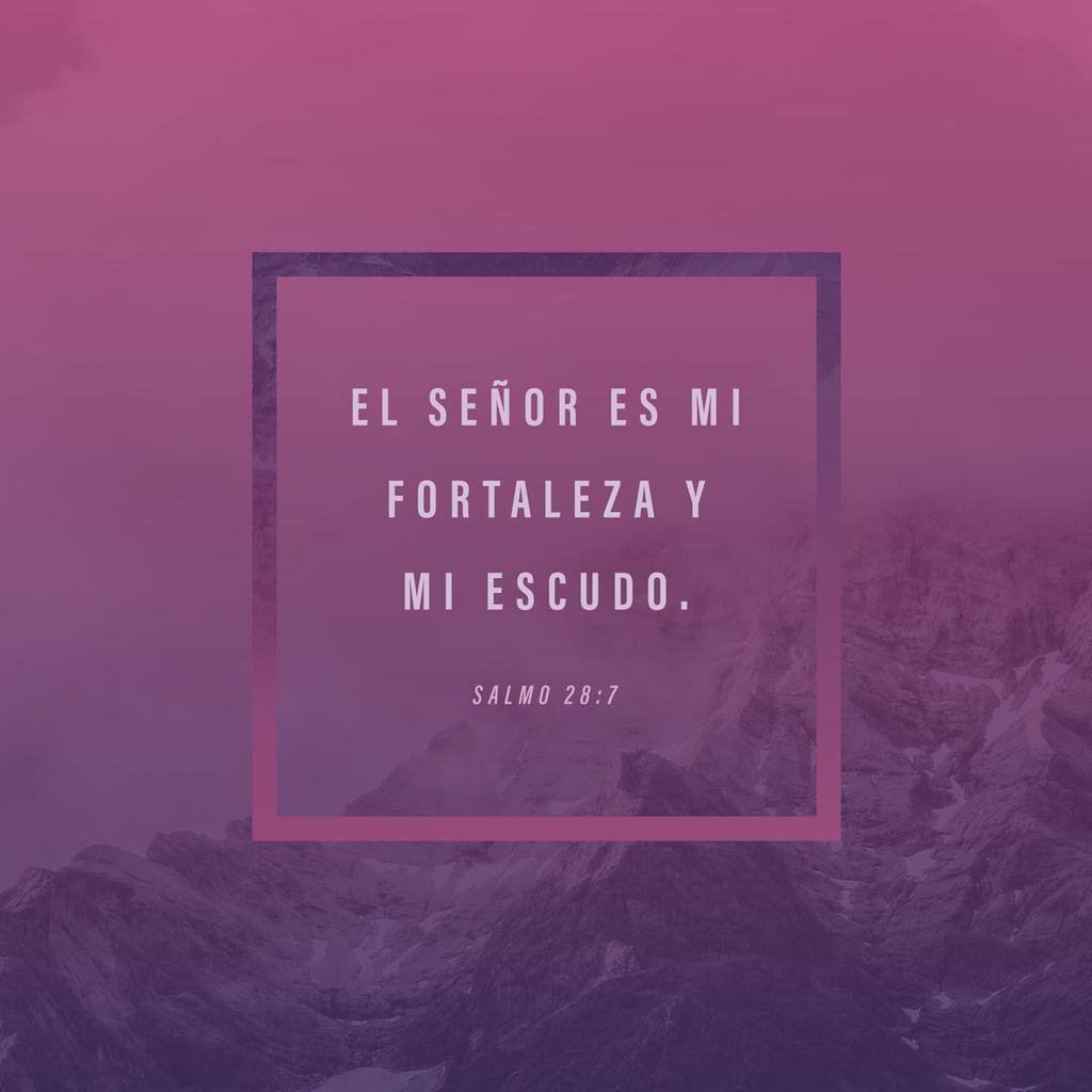 GioEscobar82's tweet photo. Muy buenos días!!
Seguimos #ConMasFe 🙌💪
@PFVELASCO @LAMONJACALI @PITERALBEIRO @PLinero @jamesdrodriguez @Lina_Tejeiro @LINDAPALMA @JoseCuadrado12 @casTa1326 @HectorQuinho @joeldavidfc1 @tulioagomez @Quiqueson @PetisoArangoOF @CharBermudez @Bandadeportiva @ElGatoArceArce https://t.co/1LFOfnBDPc