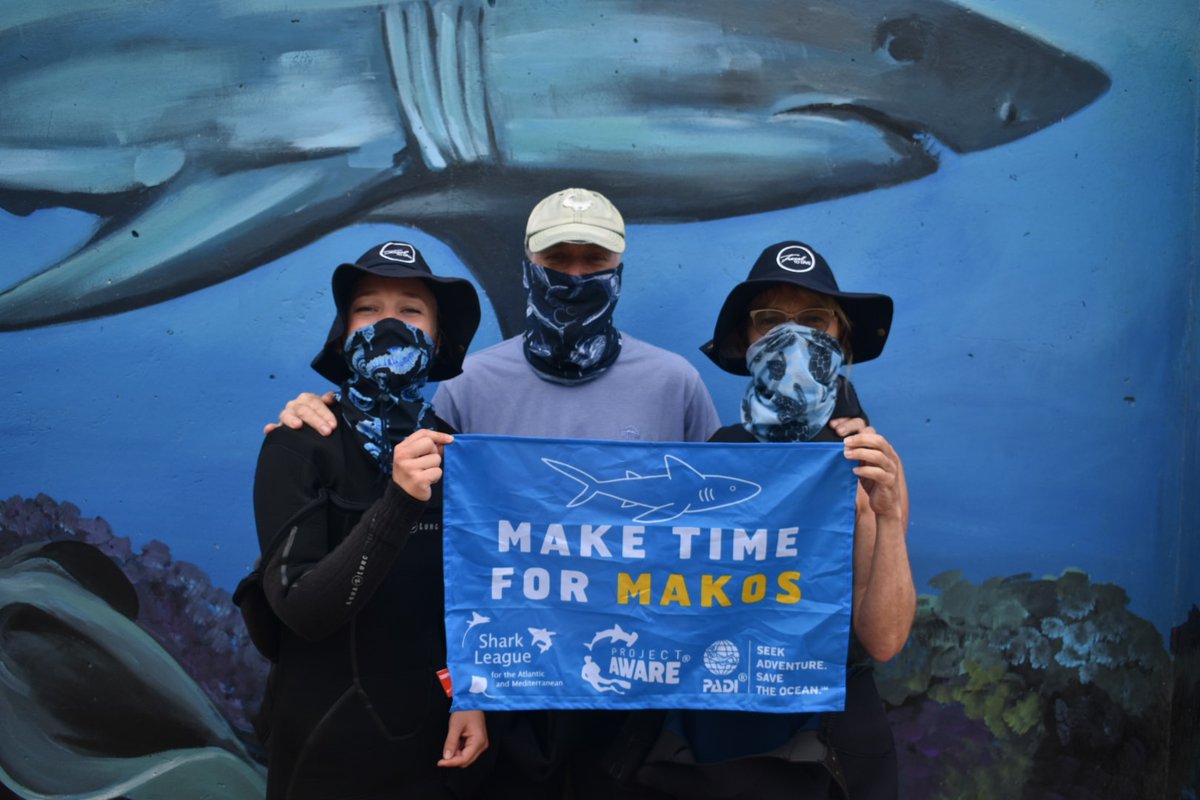padiaware's tweet photo. Thanks to the committment of our global diving community, who rallied their national govts, makos are now protected!🦈💙But the work is not done: to prevent shenanigans in 2024, we need even more countries fighting back to protect endangered #Makos. 
#MakeTime4Makos #Divers4Makos https://t.co/SP6w1f6QWz