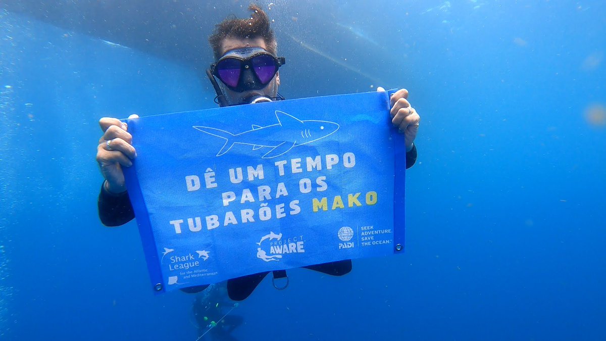 padiaware's tweet photo. Thanks to the committment of our global diving community, who rallied their national govts, makos are now protected!🦈💙But the work is not done: to prevent shenanigans in 2024, we need even more countries fighting back to protect endangered #Makos. 
#MakeTime4Makos #Divers4Makos https://t.co/SP6w1f6QWz