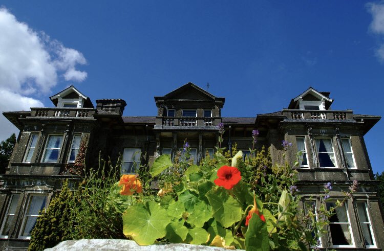 Fáilte Ireland tweet media