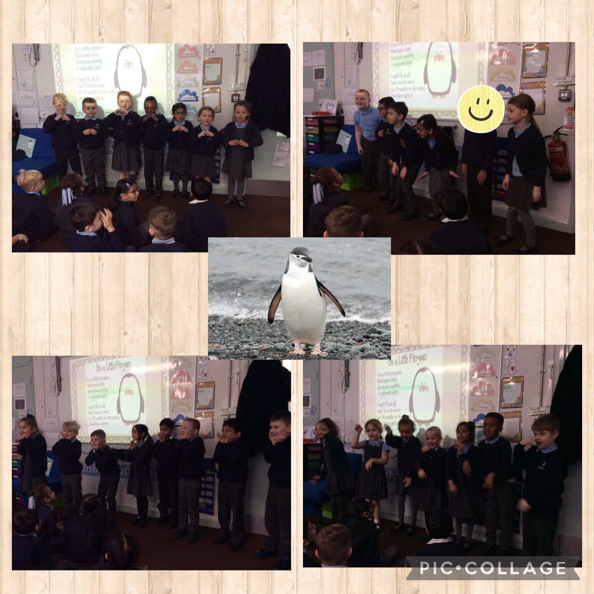 YearOneStBede's tweet photo. We have been learning about poems in Literacy. We thought of some actions for a poem in groups and then performed them to the rest of the class 🤩🐧 https://t.co/6NQLOqDNBH