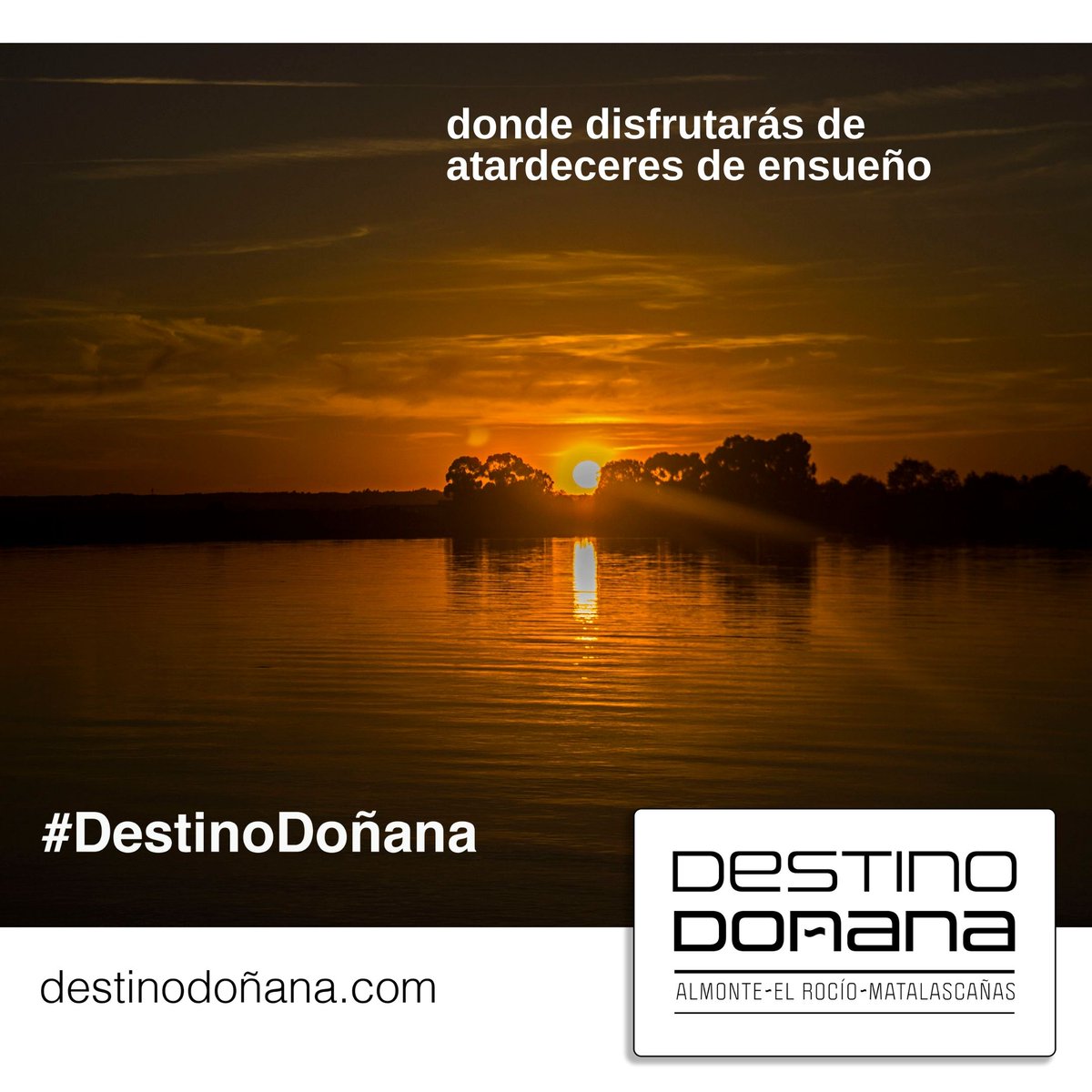 Llegan las primeras lluvias ☔️ a #DestinoDoñana 🌾 y pronto podremos disfrutar del paisaje 😍 que nos regalan nuestras marismas... y sus atardeceres de ensueño 🌅 

#HuelvaElevaTusSentidos #SienteHuelva  #Doñana #Almonte #ElRocio #Matalascañas