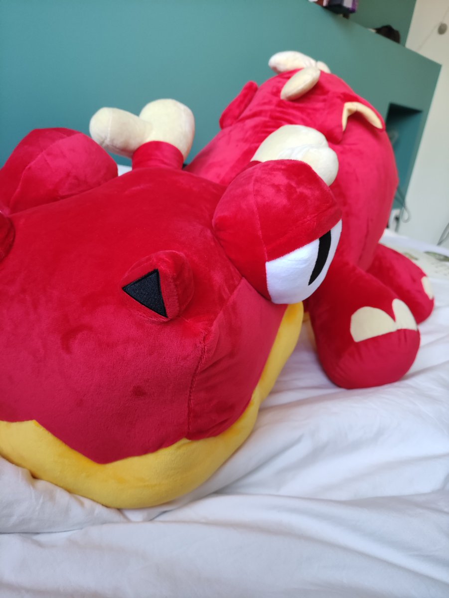 Ging_Oui's tweet photo. Adulte très très responsable (elle fait la moitié de mon lit je sais pas qu'est-ce que je vais en foutre) @Jokk_off @VividupWasTaken @Croumfliott @jlzrt https://t.co/AV1hl3gTj1