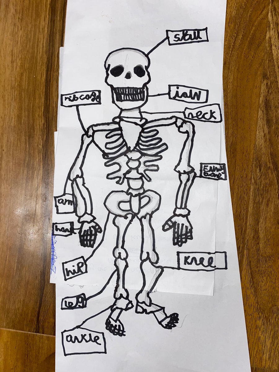 sophP18's tweet photo. Amazing piece of homework from our superstar riley! We have an artist on our hands! @st_michaels_ce https://t.co/4NQjVbk4lm