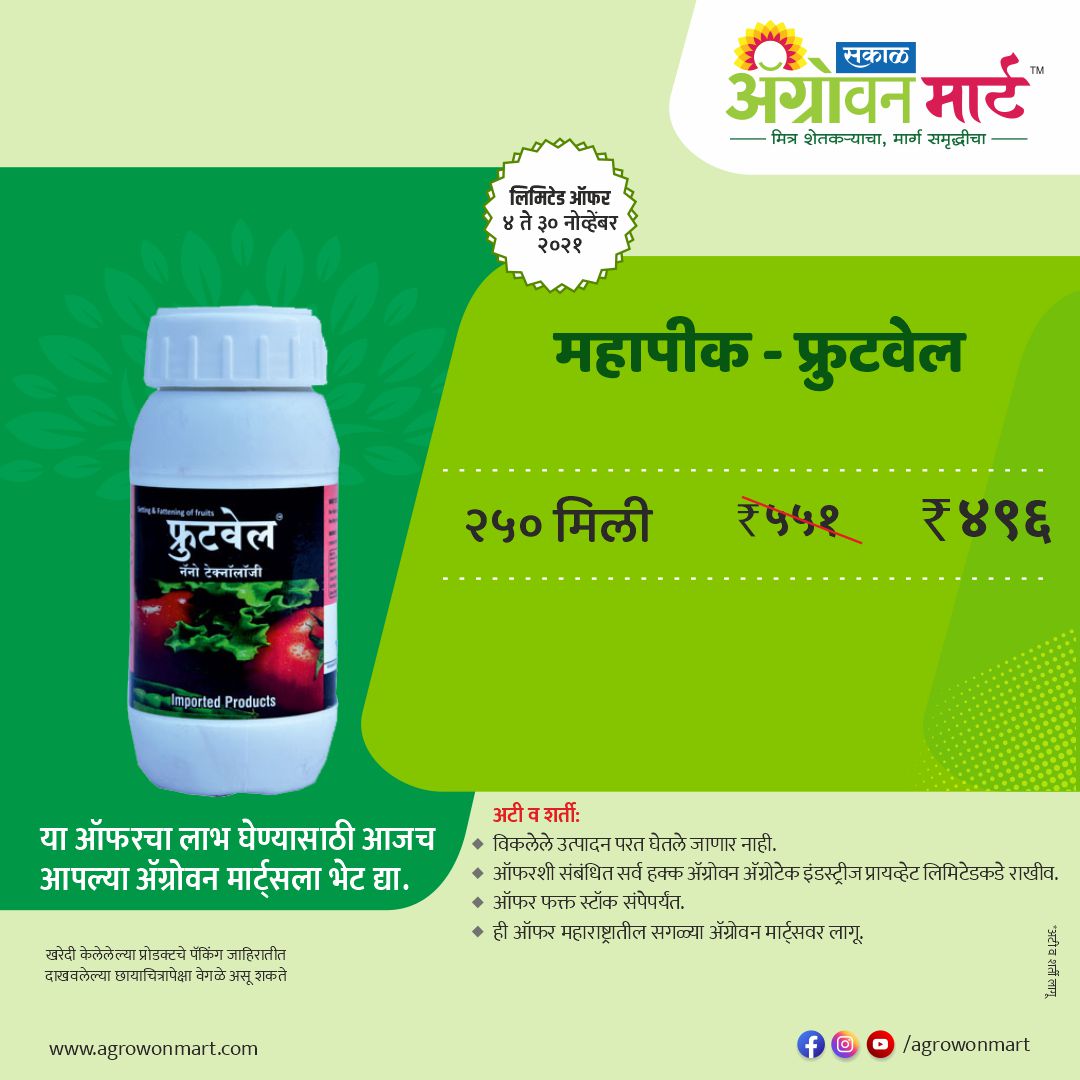 AgrowonMart's tweet photo. ऑफर 🎁ऑफर🎁ऑफर🎁
आम्ही घेऊन आलो आहोत धमाका ऑफर्स फक्त काही दिवसांसाठी.🎁
आजच भेट द्या तुमच्या जवळील #ॲग्रोवनमार्ट ला आणि या #ऑफर चा लाभ घ्या...
https://t.co/ANqSsNZfKr

#AgrowonMart #AgrowonForFarmers #Agrowon #IntiativeByAgrowon #Mission501 #Dairy #Agriculture #AgrowonMartOffer https://t.co/5Mp0rUxJZp