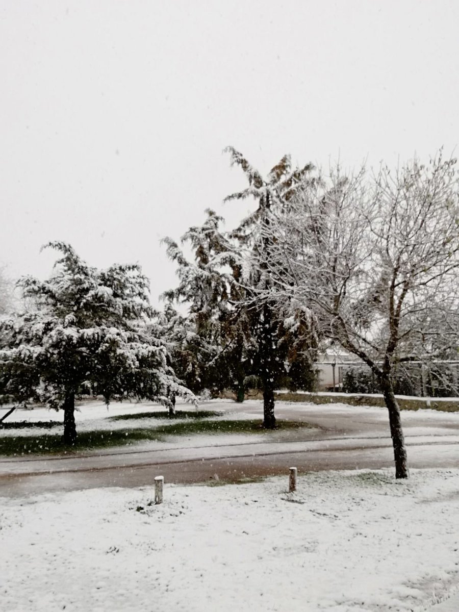 Día de nieve en #queseríalascortas