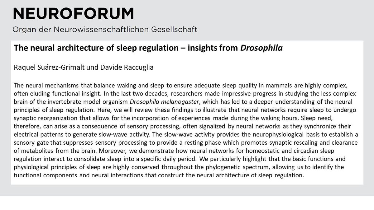 NeuroforumNWG's tweet photo. ⚠️Ahead of Print⚠️
The neural architecture of sleep regulation – insights from Drosophila
by: Raquel Suárez-Grimalt and Davide Raccuglia
https://t.co/qJoqJoIugK
#Drosophila #neuraloscillations #sensorygating #slowwavesleep https://t.co/j18hveI0rk