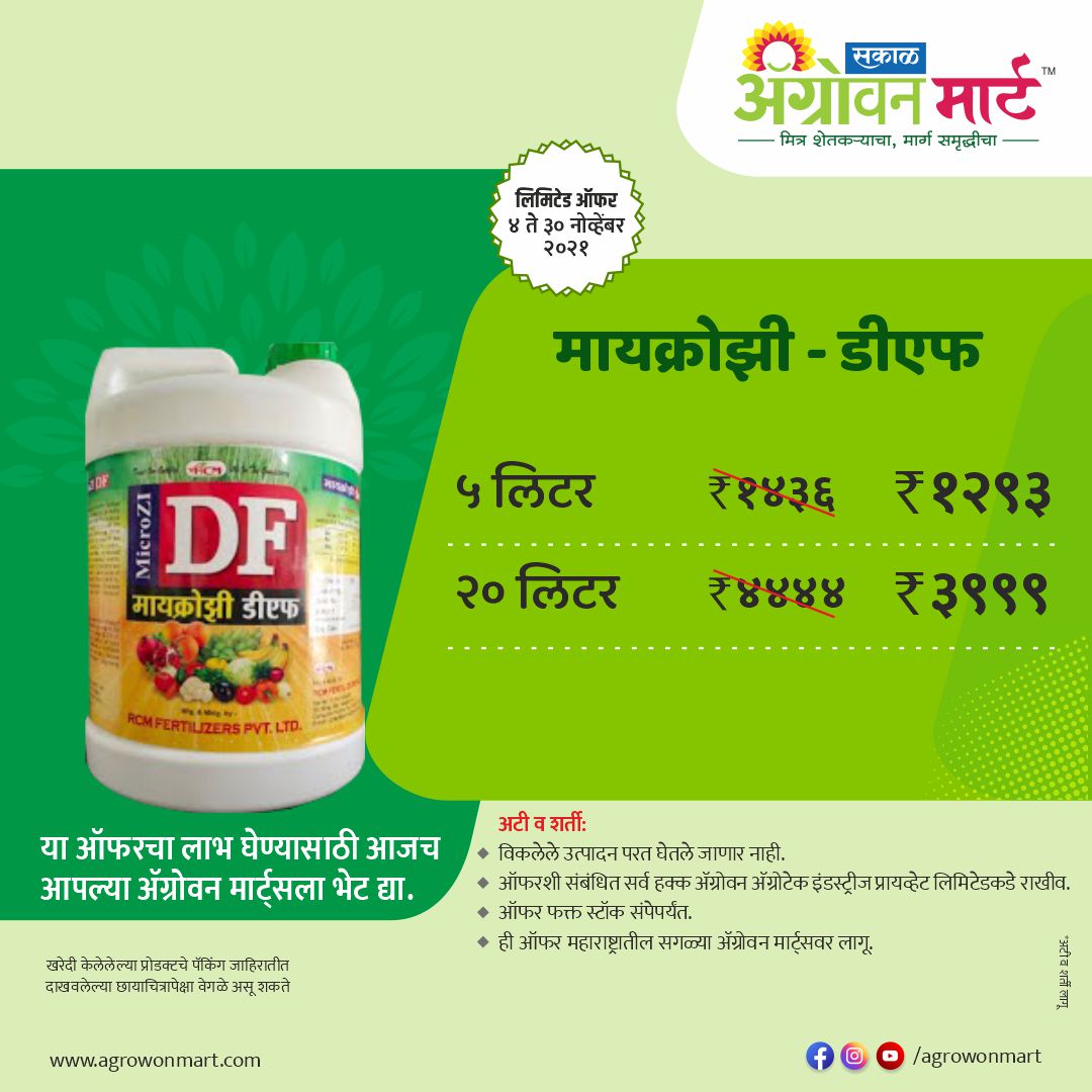 AgrowonMart's tweet photo. ऑफर 🎁ऑफर🎁ऑफर🎁
आम्ही घेऊन आलो आहोत धमाका ऑफर्स फक्त काही दिवसांसाठी.🎁
आजच भेट द्या तुमच्या जवळील #ॲग्रोवनमार्ट ला आणि या #ऑफर चा लाभ घ्या...
https://t.co/ANqSsNHEST

#AgrowonMart #AgrowonForFarmers #Agrowon #IntiativeByAgrowon #Mission501 #Dairy #Agriculture #AgrowonMartOffer https://t.co/XOmqSqimiU