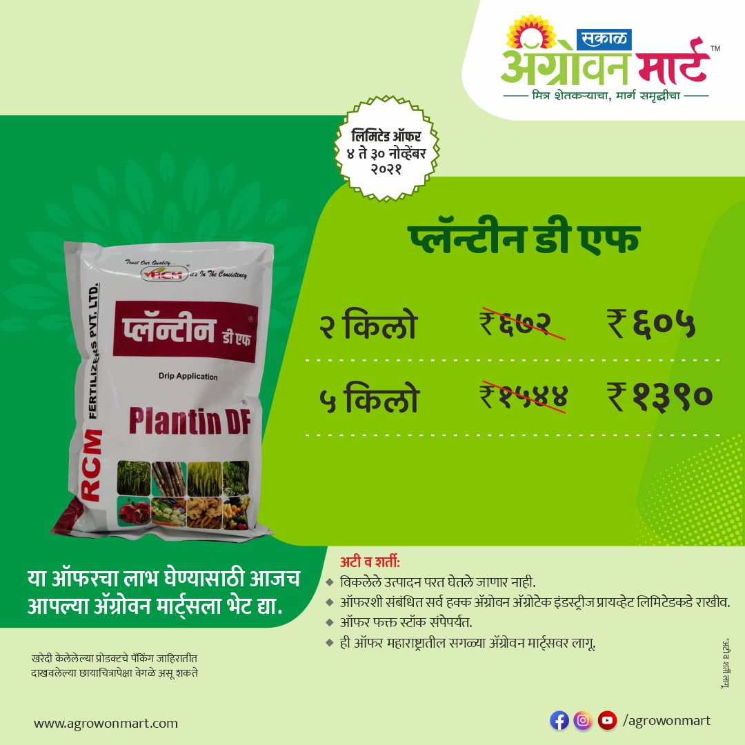 AgrowonMart's tweet photo. ऑफर 🎁ऑफर🎁ऑफर🎁
आम्ही घेऊन आलो आहोत धमाका ऑफर्स फक्त काही दिवसांसाठी.🎁
आजच भेट द्या तुमच्या जवळील #ॲग्रोवनमार्ट ला आणि या #ऑफर चा लाभ घ्या...
https://t.co/ANqSsNHEST

#AgrowonMart #AgrowonForFarmers #Agrowon #IntiativeByAgrowon #Mission501 #Dairy #Agriculture #AgrowonMartOffer https://t.co/IkpowSCmtP