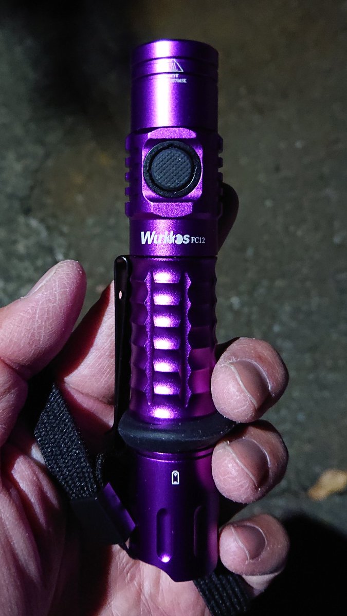 帰宅！

今日はWurkkos FC12を照射しながら帰ってきました！
明るいね(о´∀`о)