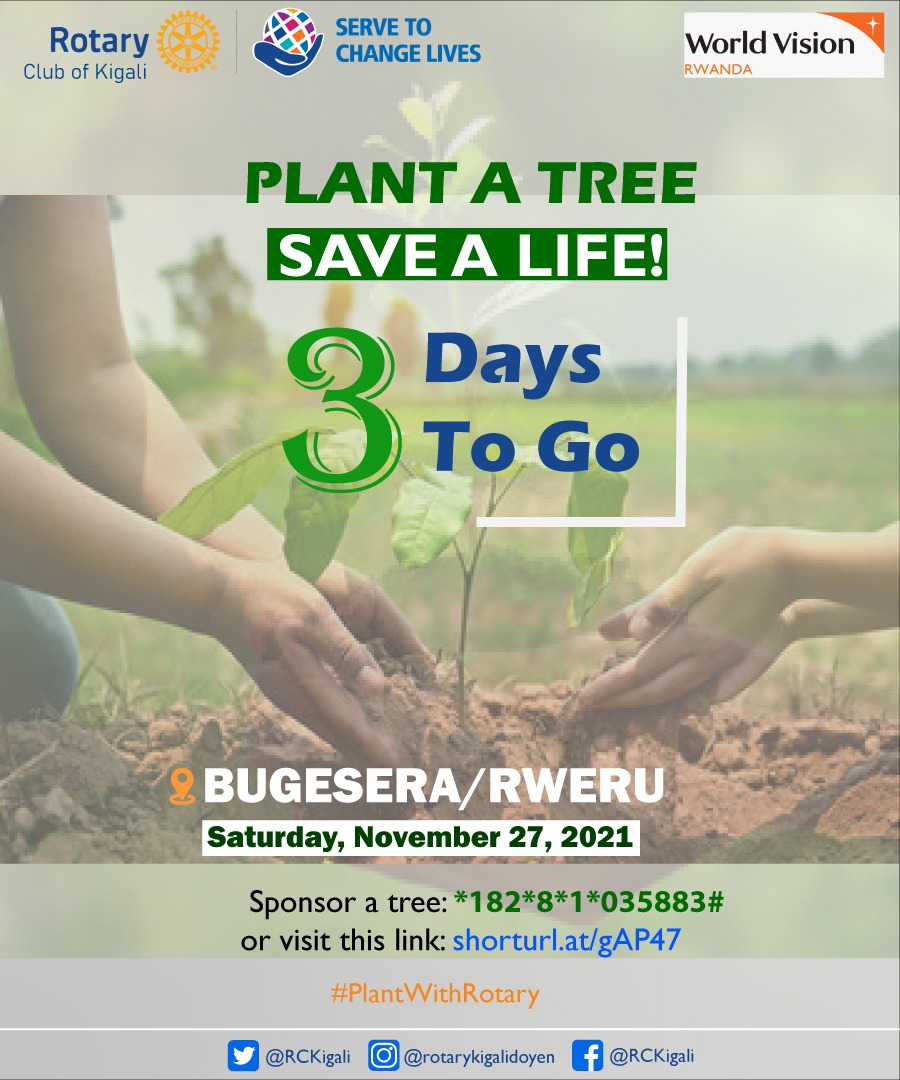 rckigali's tweet photo. 🌱 Take care of the environment so it can take care of you.
This Saturday, November 27, we will be planting trees in @BugeseraDistr with @WVRwanda to create a cleaner & safer environment for all.
Sponsor a tree here https://t.co/lXvQAiu0Ji
#PlantWithRotary,#Servetochangelives https://t.co/sSXqyADZ4f