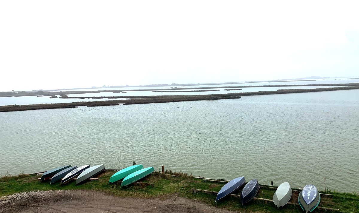 FabioMassa1's tweet photo. Here in Valli di Comacchio (Italy), where you can find out culture, nature, local traditional knowledge. A place where #sustainableaquaculture #artisanalfisheries and #ecotourism live together, generate employment and income. https://t.co/9b7boA3l7S