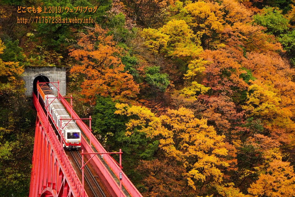 宇奈月の紅葉2021、山彦遊歩道を通ってトロッコ撮影ポイント巡りなど 詳しくは下記URLで https://t.co/UxT636RGjR