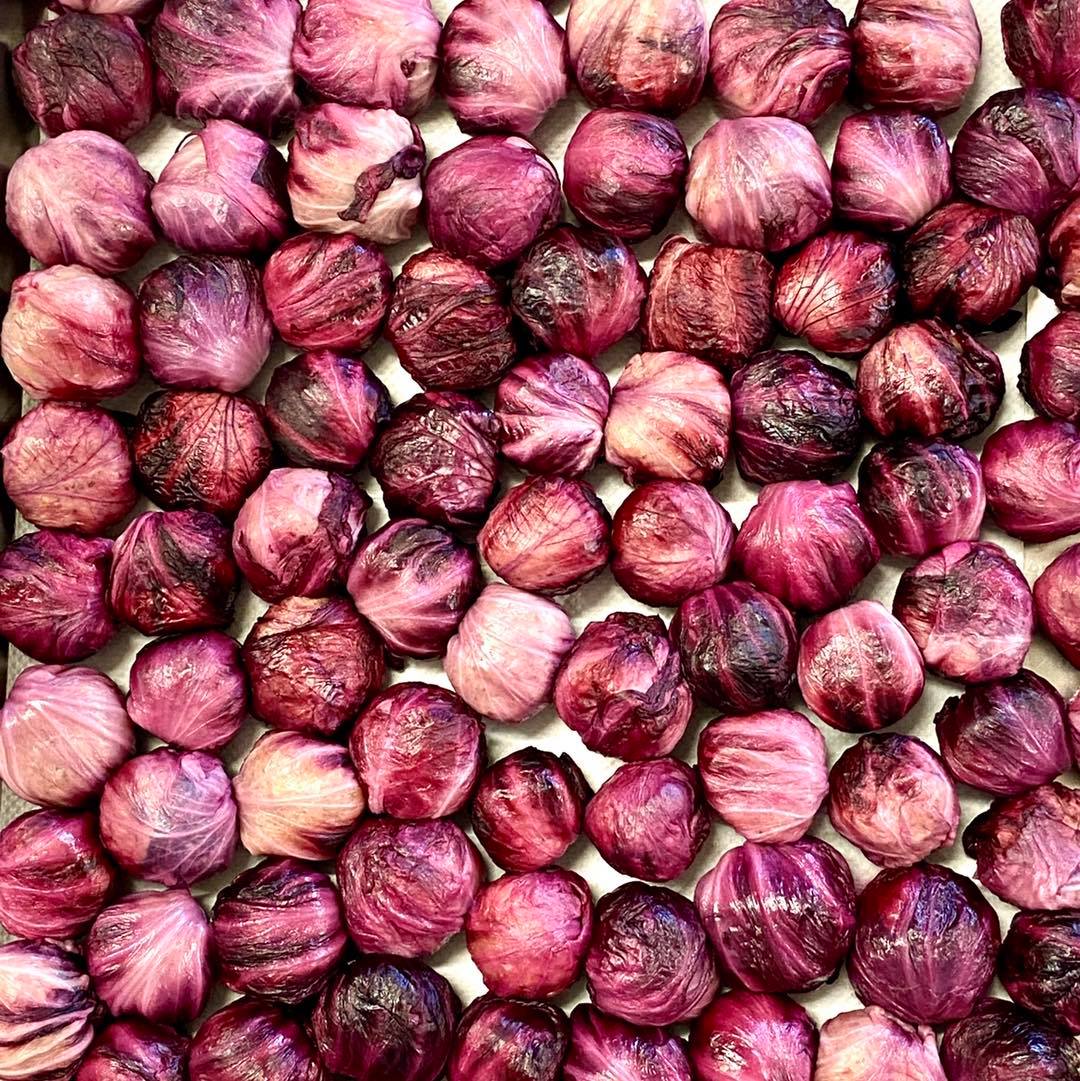 👩🏻‍🍳 Ti portiamo nella nostra cucina!
Oggi prepariamo i 𝙁𝙖𝙜𝙤𝙩𝙩𝙞𝙣𝙞 𝙙𝙞 𝙍𝙖𝙙𝙞𝙘𝙘𝙝𝙞𝙤

#radicchio #cucinaitaliana #pasta #foodporn #cena #radicchioditreviso #vegetarian #ricette #ricetta #recipes #lunch #love #instafood #foodblogger #healthydiet #italianway