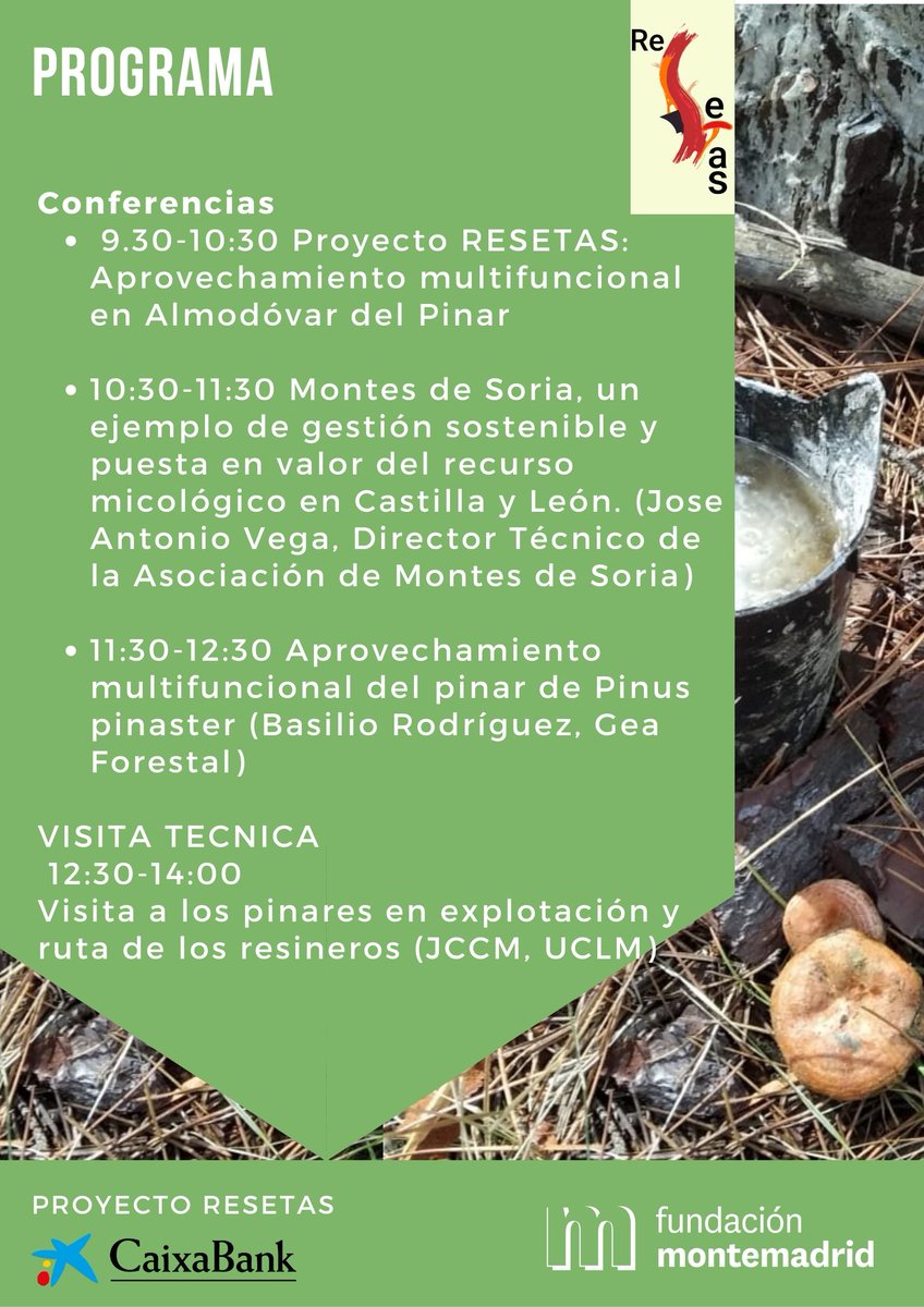 aida_rgvaldes's tweet photo. El 29 de noviembre en @almodovardelpin, desde @PResetas  organizamos unas Jornadas de promoción de los #aprovechamientosMultifuncionales del monte #PFNM #resinasNaturales #micología #desarrollosostenible #desarrrollorural @FCesefor  @UFIL_UCLM @MontesUPM https://t.co/rbebDLgCG6