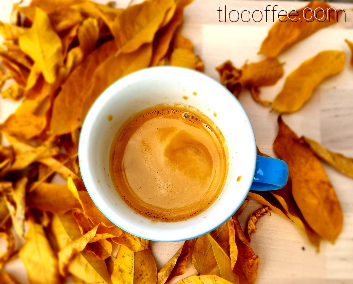 The Little One tweet media