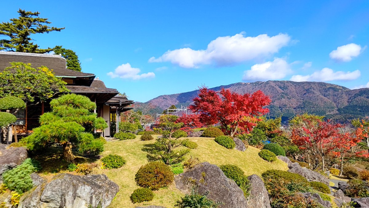 箱根・強羅にある「 箱根美術館 」の紅葉が見頃です。