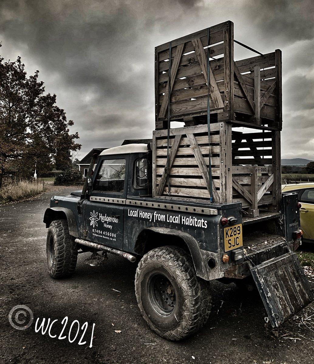Hedgerow_honey's tweet photo. And John wanted to stack a third one on the top!!
One mans trash is anotherโs treasure!!
#tidyworkshop #hedgerowhoney #beefarmingapprentice #beekeepersofinstagram #beekeepingequipment #beesareamazing #lovehoney #lovebees #localbusiness #shoplocal #supportlocalbusiness https://t.co/tvsuojH1JW