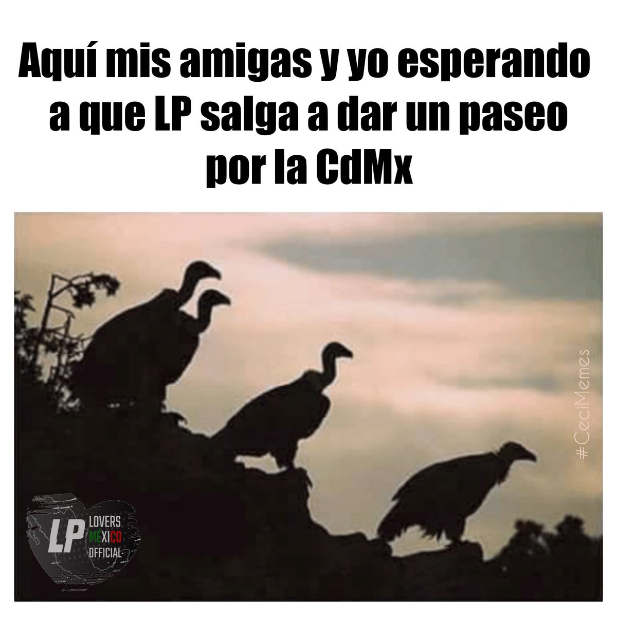 LPLoversMexico2's tweet photo. Para las que anduvieron cazando a nuestro LP por la CdMx. Los esperamos la siguiente semana con más humor
#MartesDeMemes
#TheOneThatYouLove
#LPRevelation
#LPeople
#LPWorldWide
#SoyLPLoversMexico
#TodoPorAmorALP
#iamlpofficial
#MasQueUnClubUnaFamilia
#MexicoIsLostOnYou
#CeciMemes https://t.co/E7MQ9y5IEm