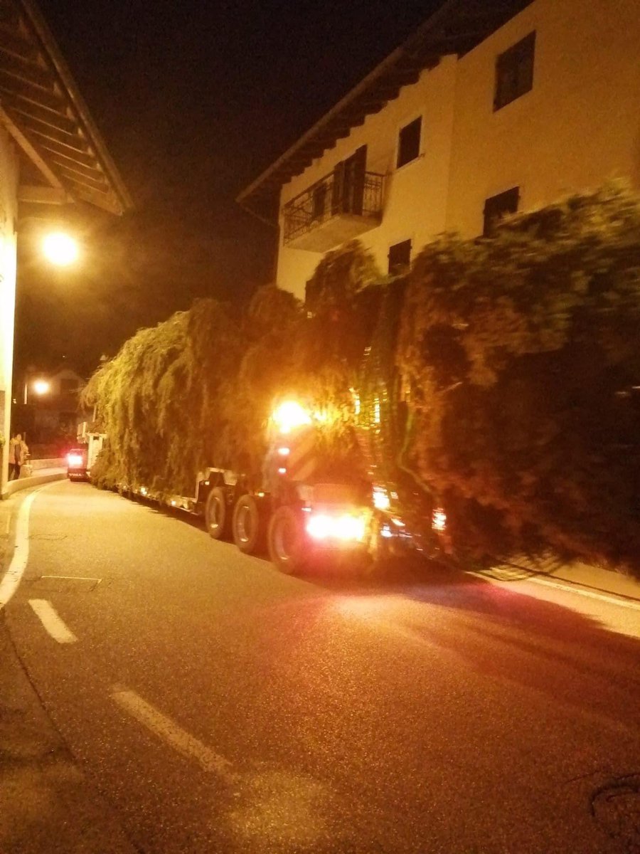 MariaGiachino63's tweet photo. @Pontifex_it caro Papa lei ci esorta a salvare il pianeta, ebbene si opponga allora al taglio dell’albero da mettere in piazza per Natale!!!! https://t.co/hxk6xcwIlc