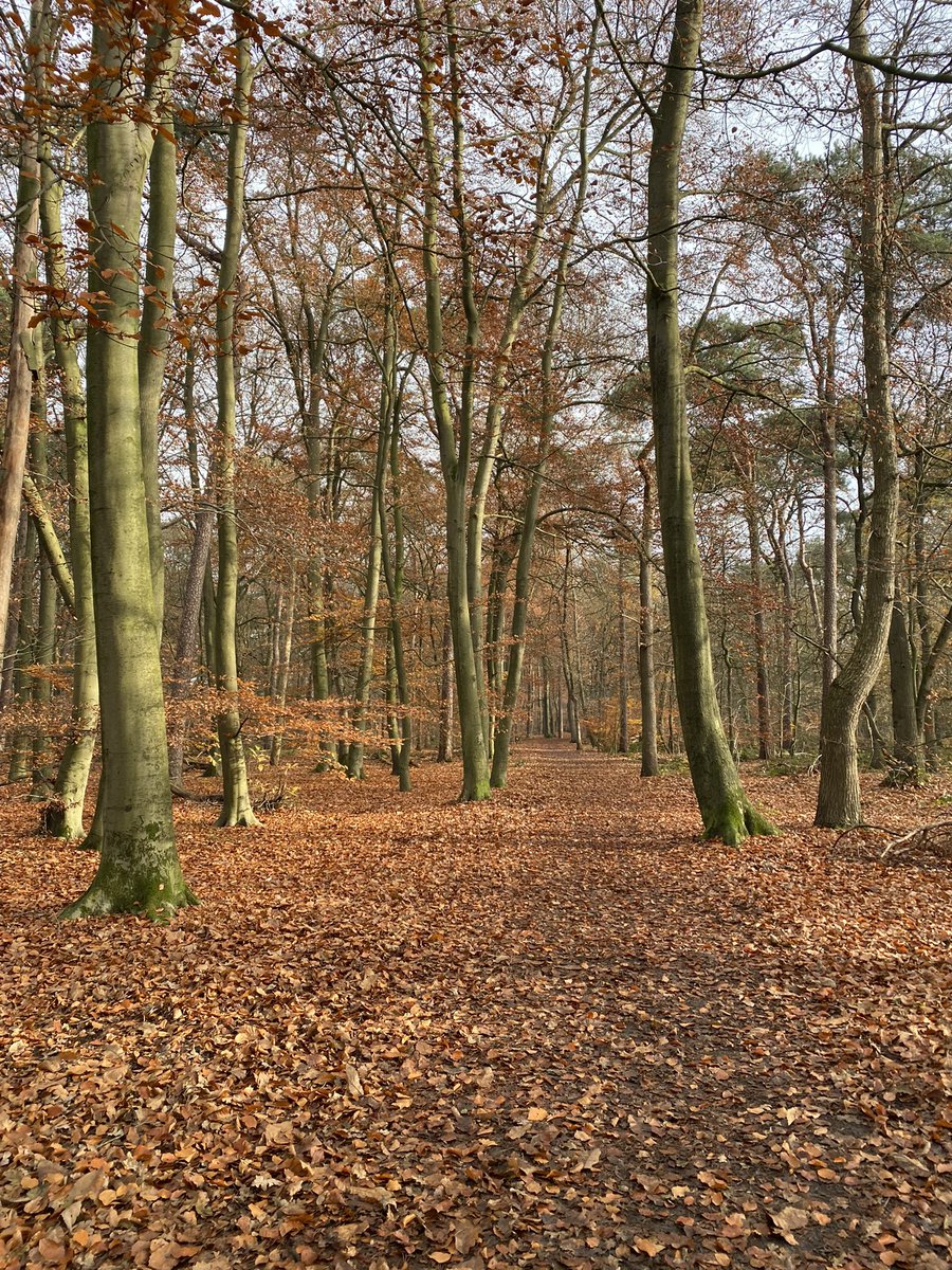 Ik vraag iedereen die van natuur houdt een zelf genomen foto te plaatsen. Alleen foto, geen tekst. Doel is om beetje rust en balans in de negatieve sfeer te creëren. Doe je mee? Kopieer tekst en plaats natuurfoto op je eigen tijdlijn. Dan kunnen we met z’n allen ervan genieten