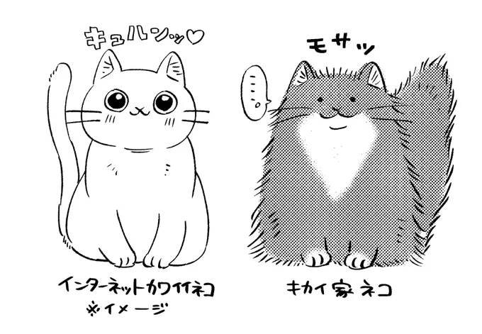 我が家のネコ。イモくてかわいい。 