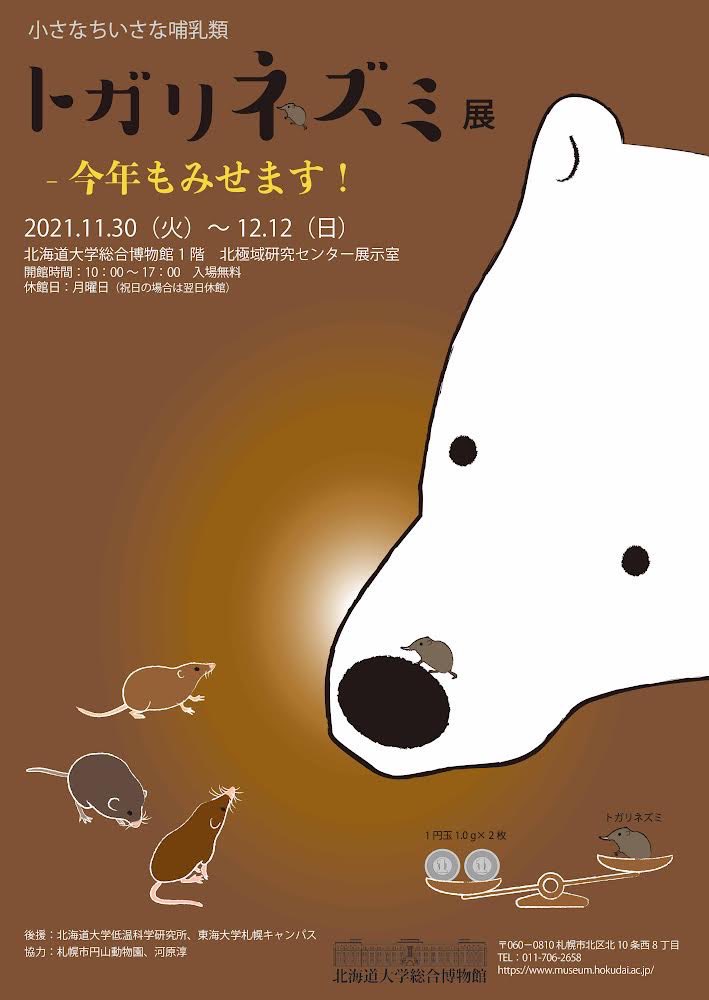 北大トガリネズミ展 終了しました Bokutogari Twitter